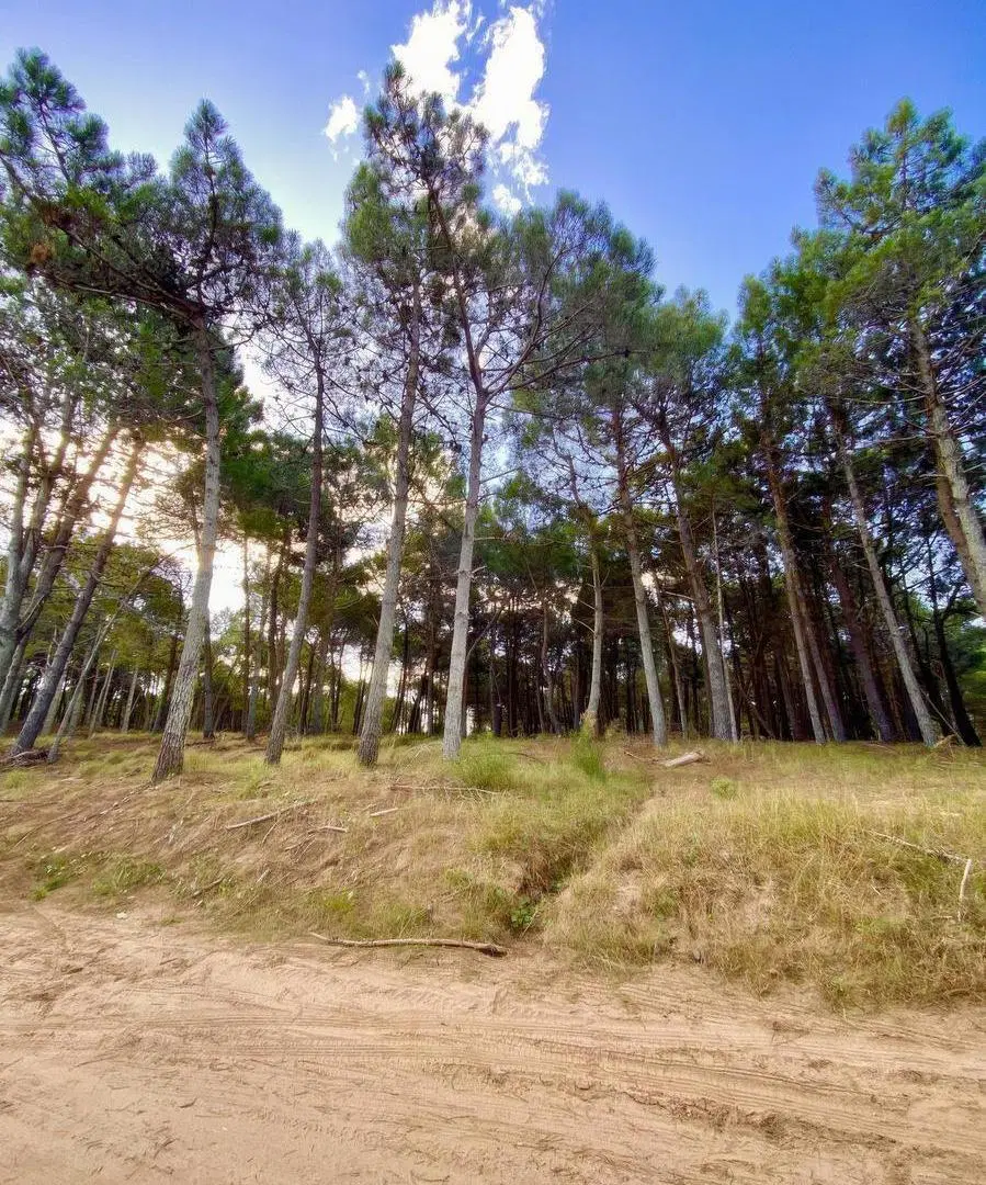Terreno en venta - 1000mts2 - Villa Robles, Pinamar 8