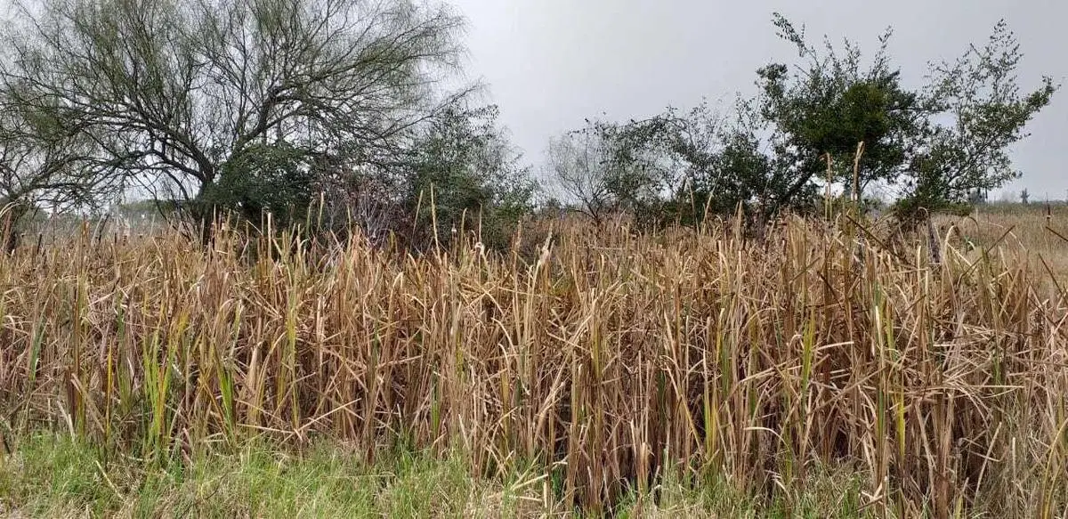 Terreno en venta - 2834Mts2 - Chascomús 3