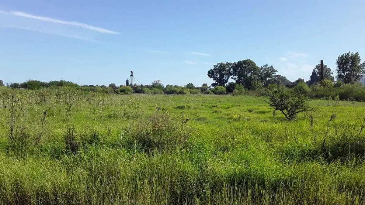 Terreno en venta - 2834Mts2 - Chascomús 4