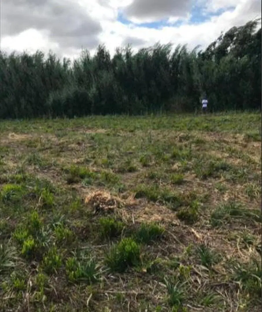 Terreno en venta - 1334mts2 - La Martona, Cañuelas, Buenos Aires 1