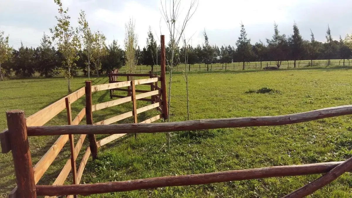 Terrenos venta - 44x51mts - 2275mts2 totales - Baradero 1