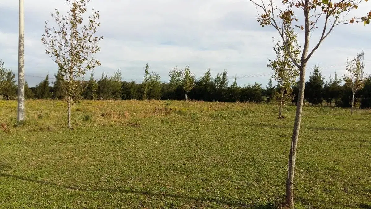 Terrenos venta - 44x51mts - 2275mts2 totales - Baradero 2