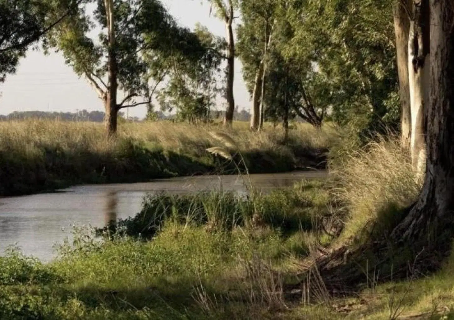 Terreno en venta - 2478mts2 - La Reserva Escondida, Área 60, La Plata 3