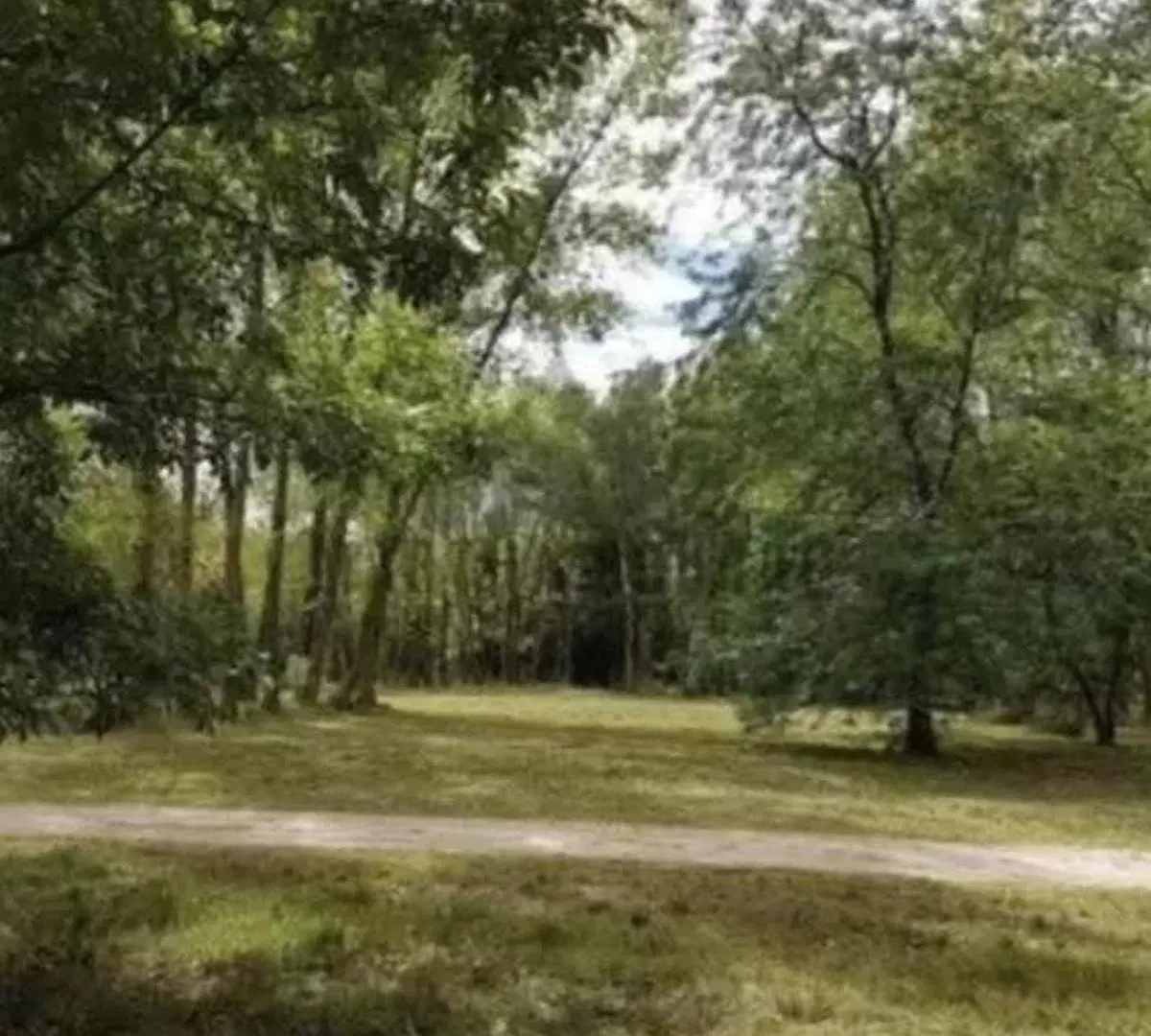Terreno en venta - 1.527Mts2 - Los Pinos, Exaltación de la Cruz 5