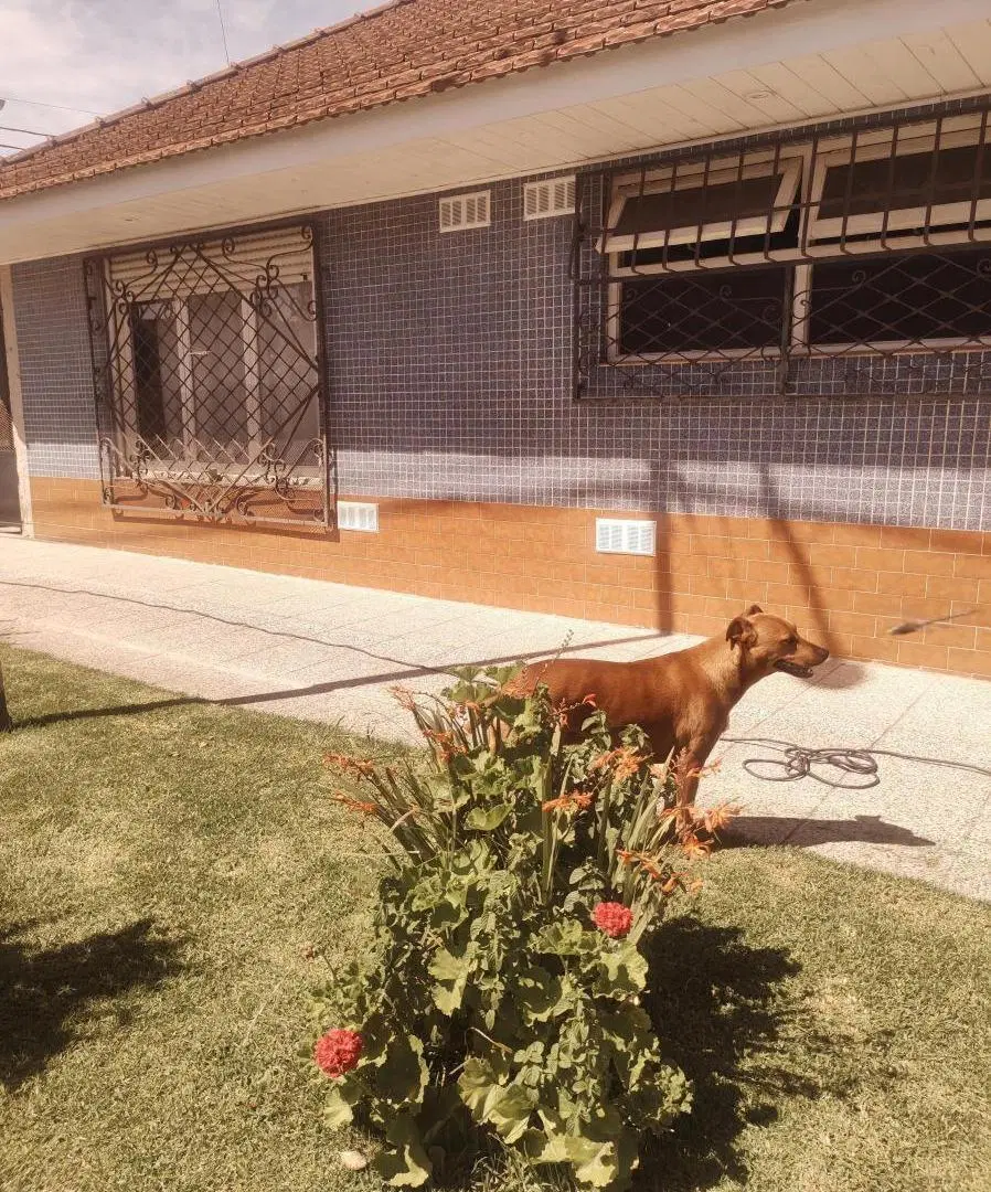 Casa en venta - 2 Dormitorios 4 Baños - Local - Mar del Plata 5