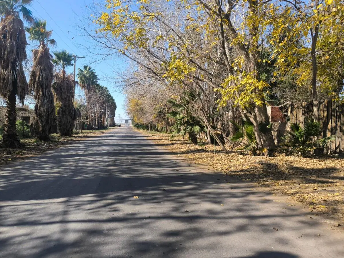 Campo en venta - 8 Hectáreas - Guaymallén 1