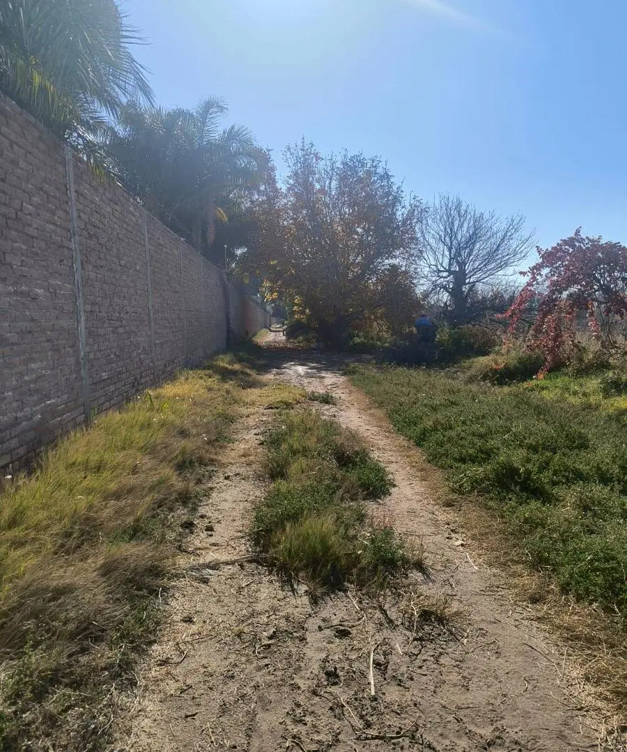 Campo en venta - 8 Hectáreas - Guaymallén 5