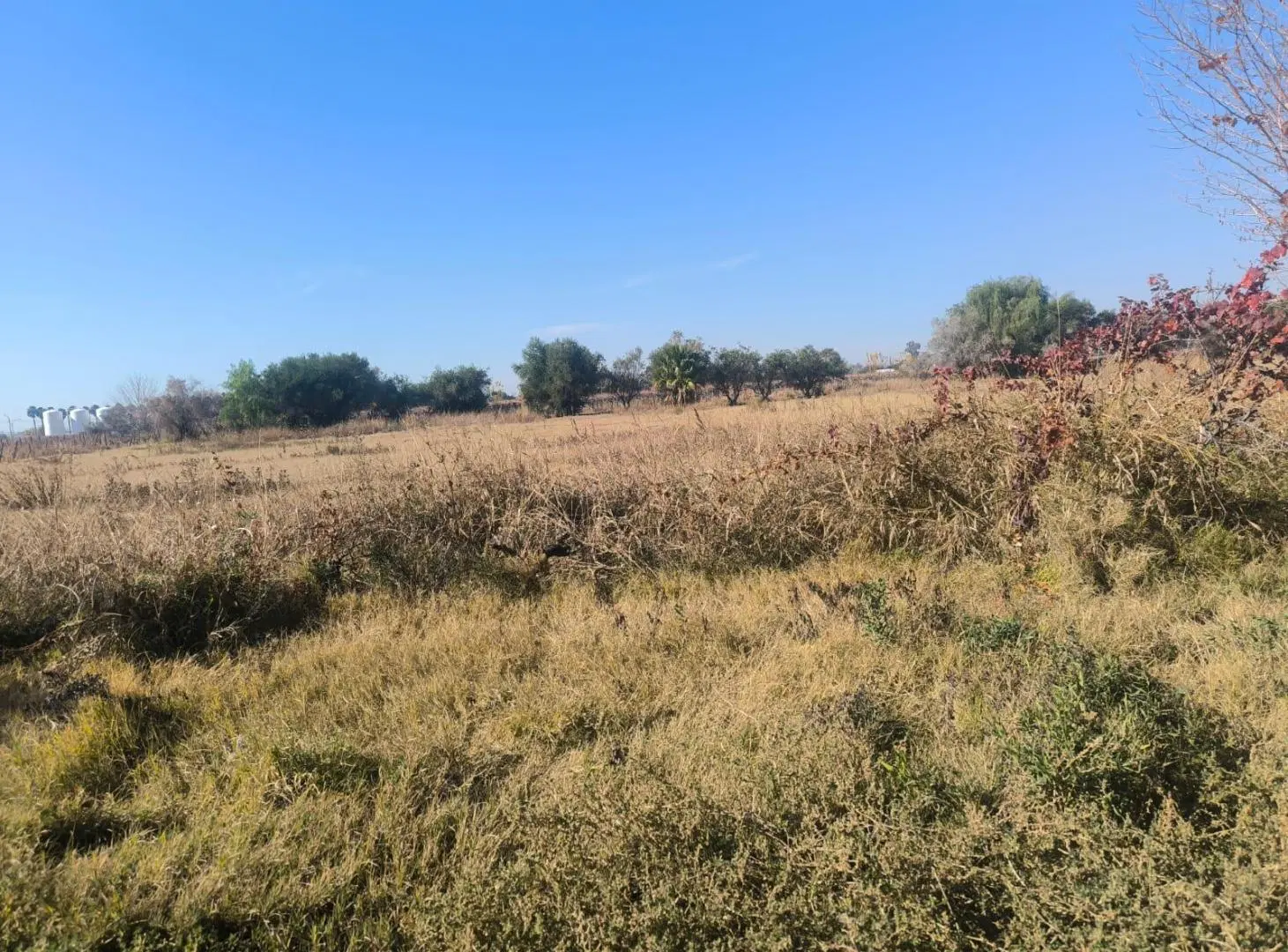 Campo en venta - 8 Hectáreas - Guaymallén 3