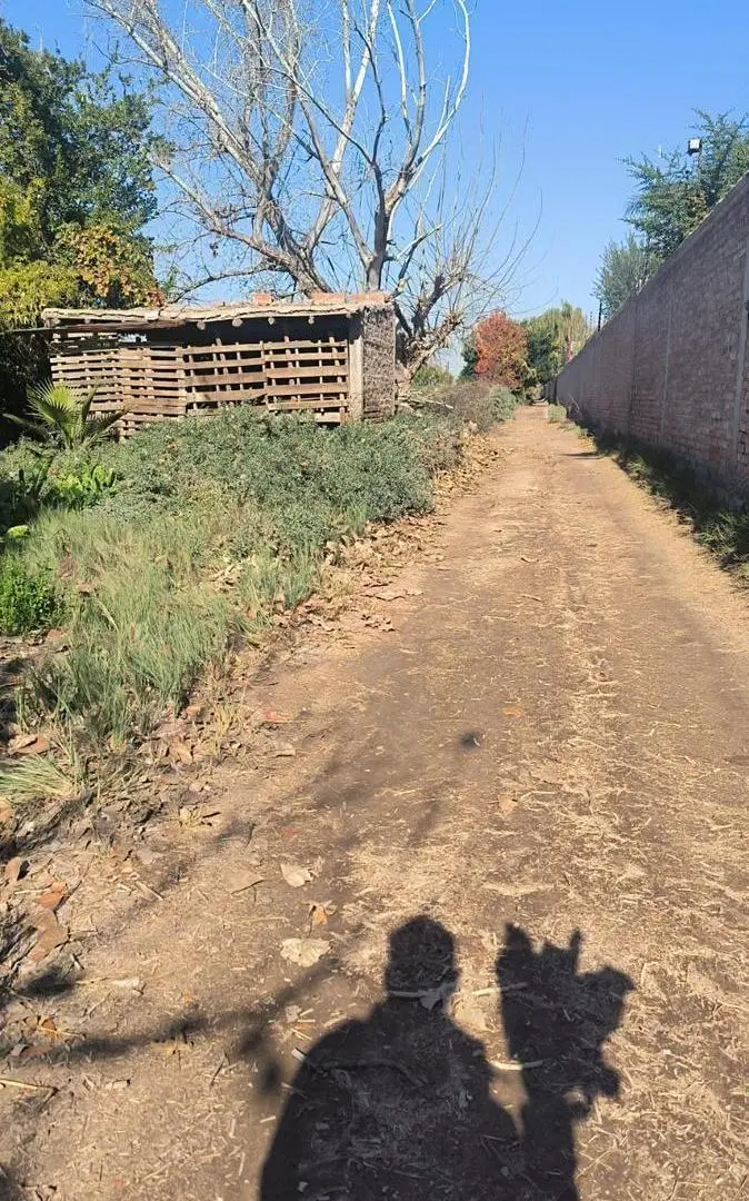 Campo en venta - 8 Hectáreas - Guaymallén 4