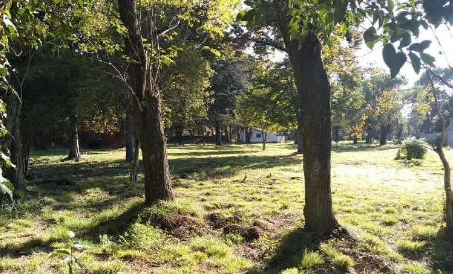 Terreno en venta -1.400mts2 - General Rodríguez 2
