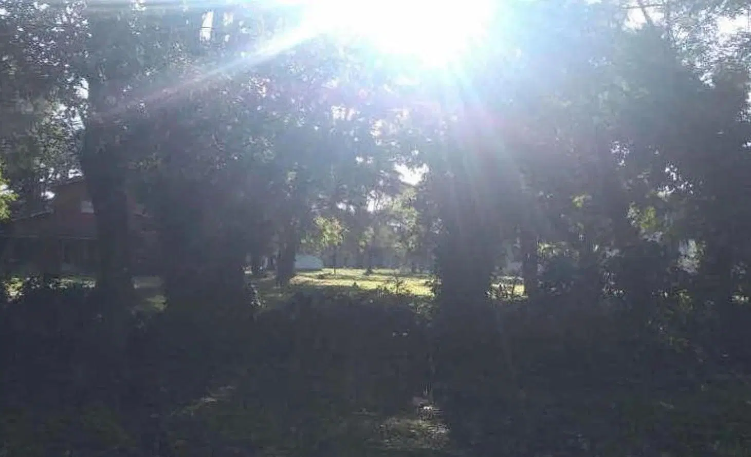 Terreno en venta -1.400mts2 - General Rodríguez 5