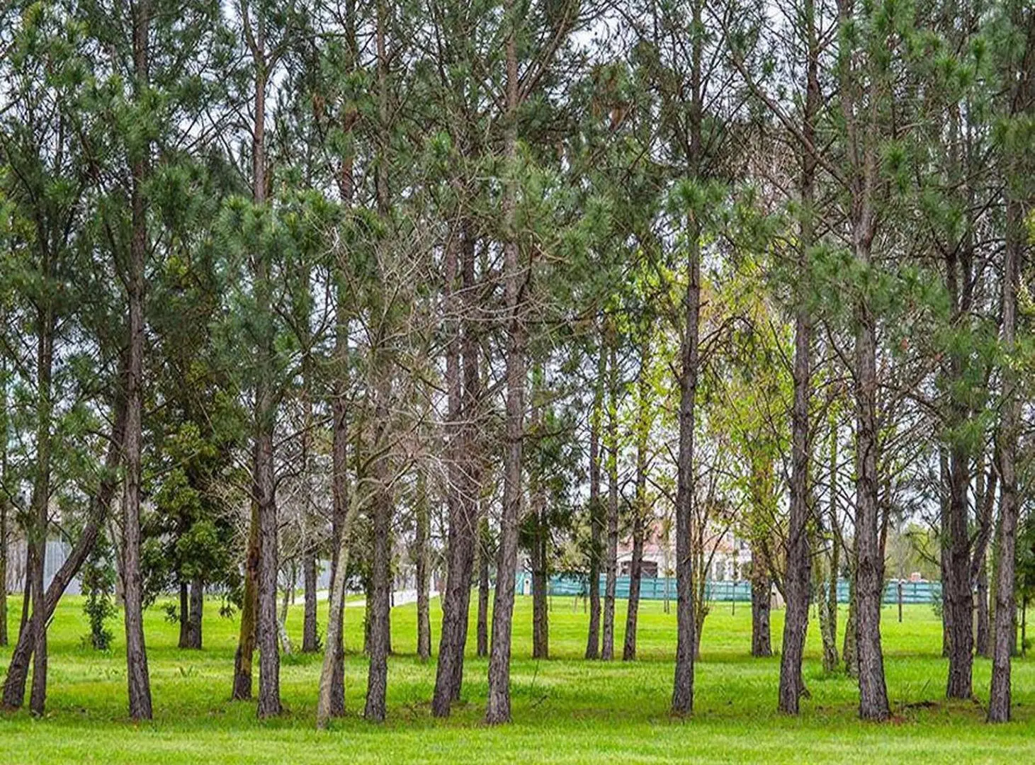Terreno en venta - 885.18mts2 - Greenville Polo 3