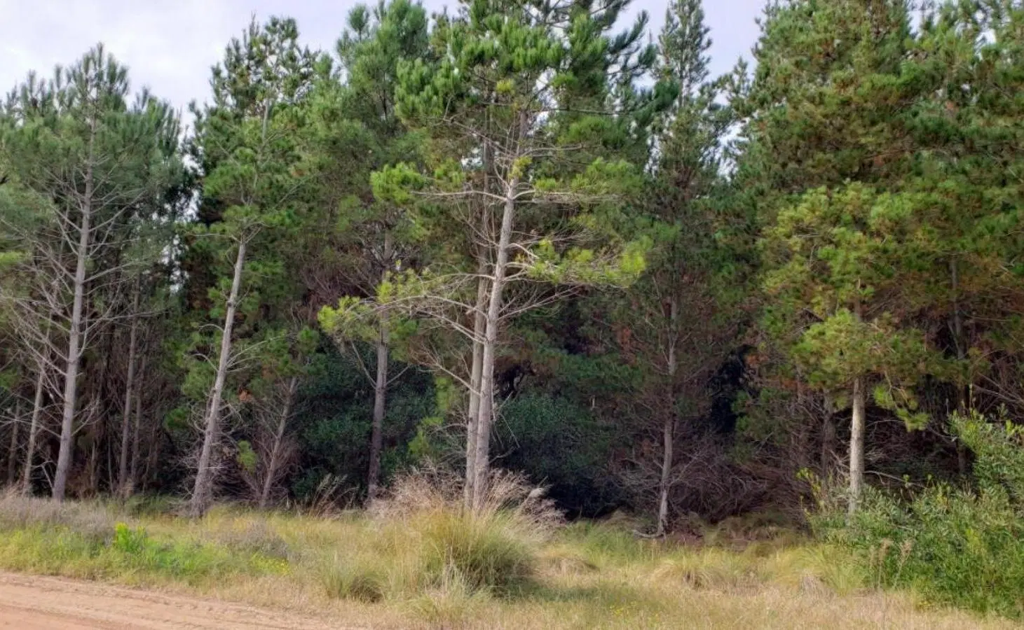 Terreno en venta - 917Mts2 - Pinamar 3