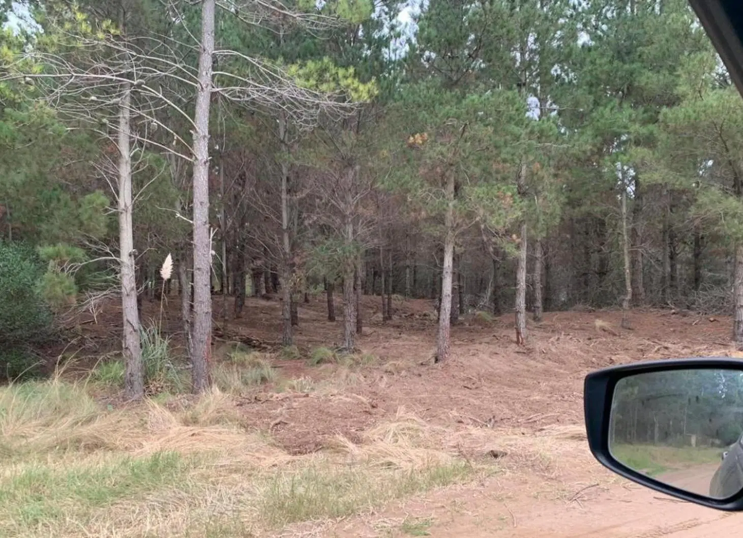 Terreno en venta - 917Mts2 - Pinamar 5