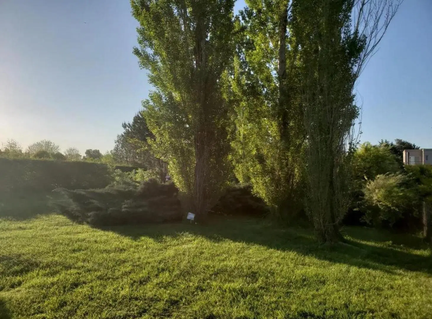 Terreno en venta - 1000Mts2 - General Rodríguez 4
