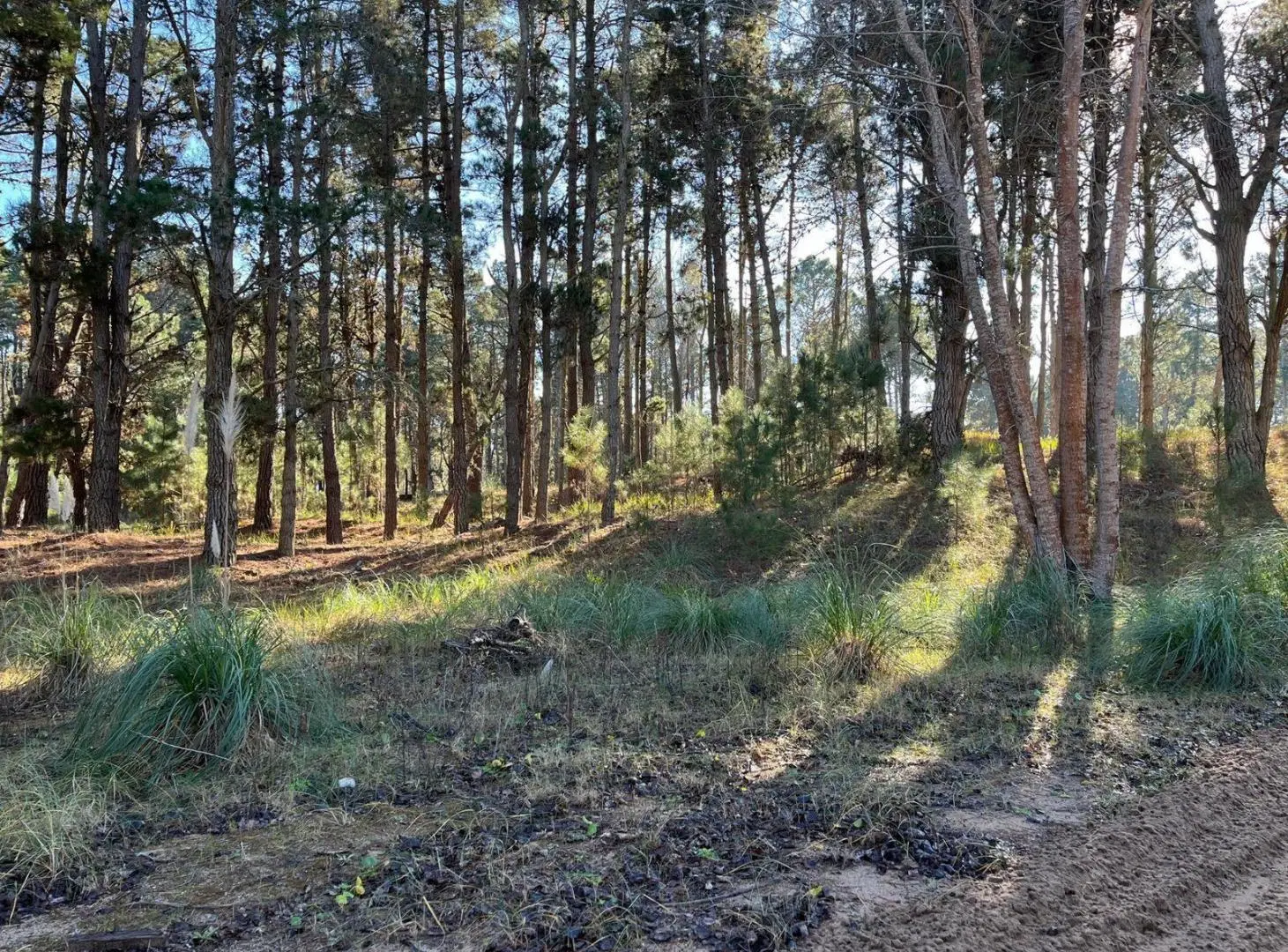 Terreno en venta - 955.93mts2 - Villa Robles, Pinamar 4