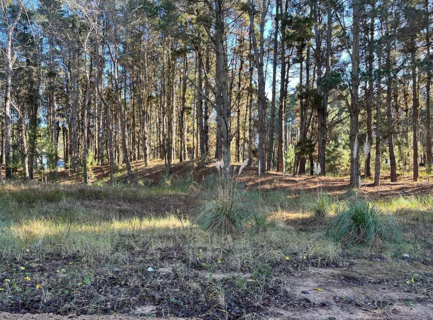 Terreno en venta - 955.93mts2 - Villa Robles, Pinamar 2
