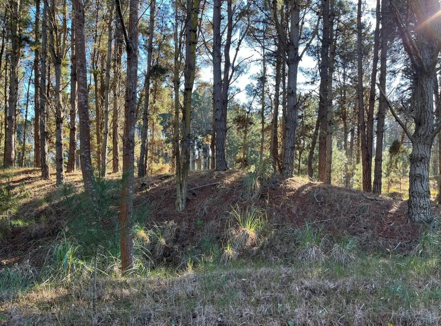 Terreno en venta - 955.93mts2 - Villa Robles, Pinamar 5
