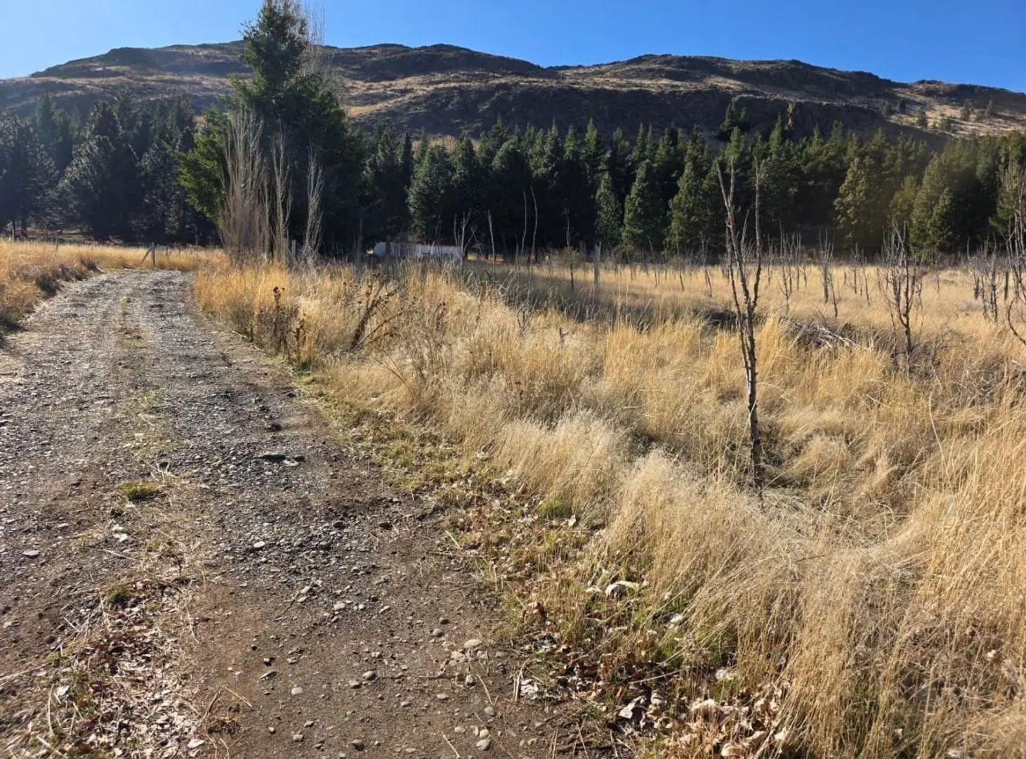 Terreno en venta - 692Mts2 - Esquel 4