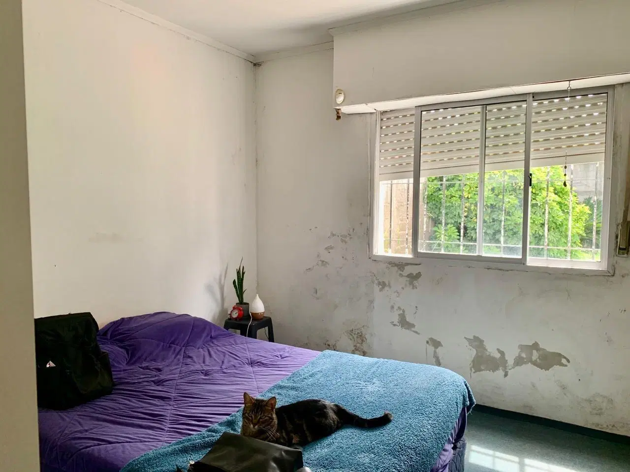 Casa en venta - 2 Dormitorios 1 Baño - 270mts2 - La Plata 4
