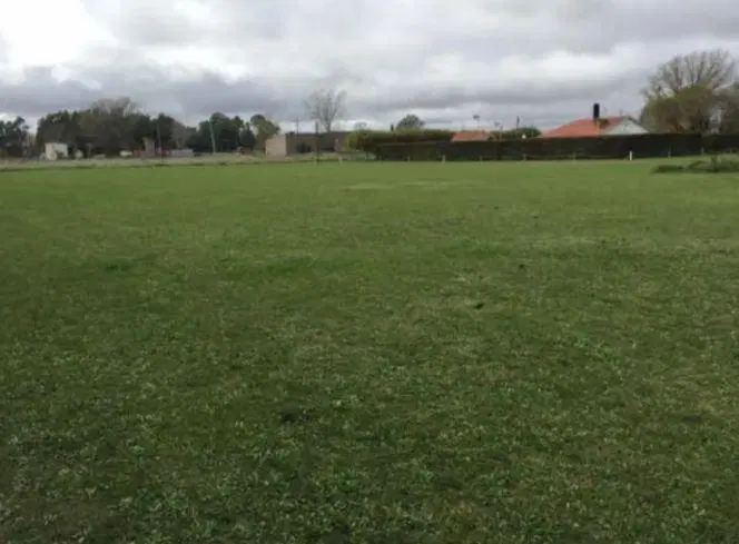 Venta en bloque de 4 terrenos - 40x90mts - 3600mts2 totales - Olavarria 3