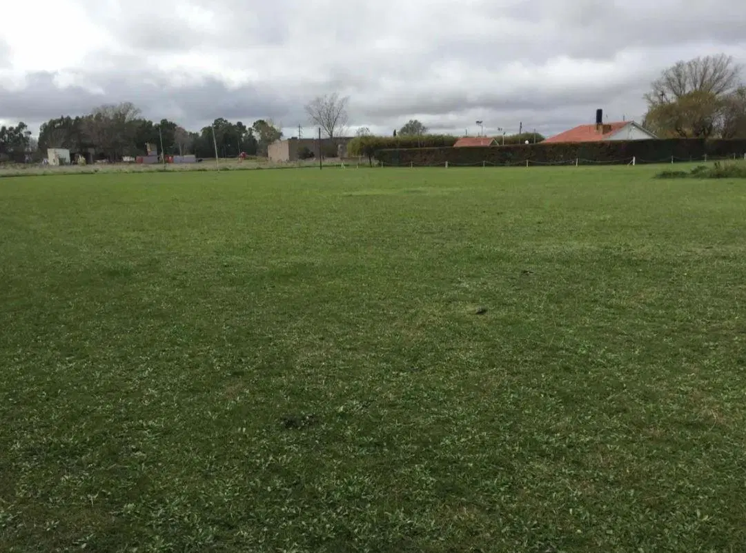 Venta en bloque de 4 terrenos - 40x90mts - 3600mts2 totales - Olavarria 2