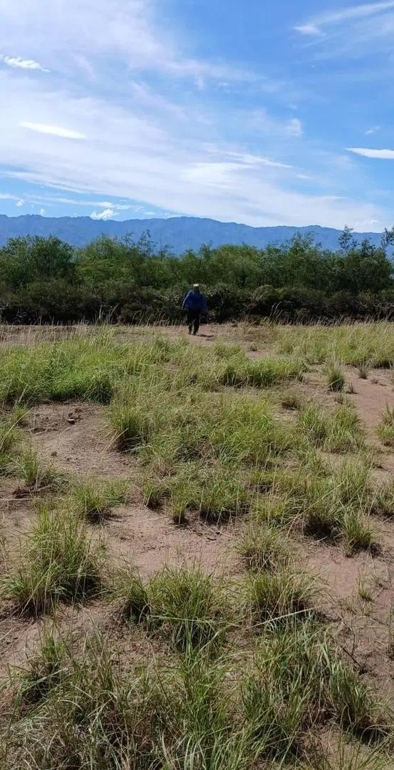 Terreno en venta - 1.496mts2 - Córdoba 5