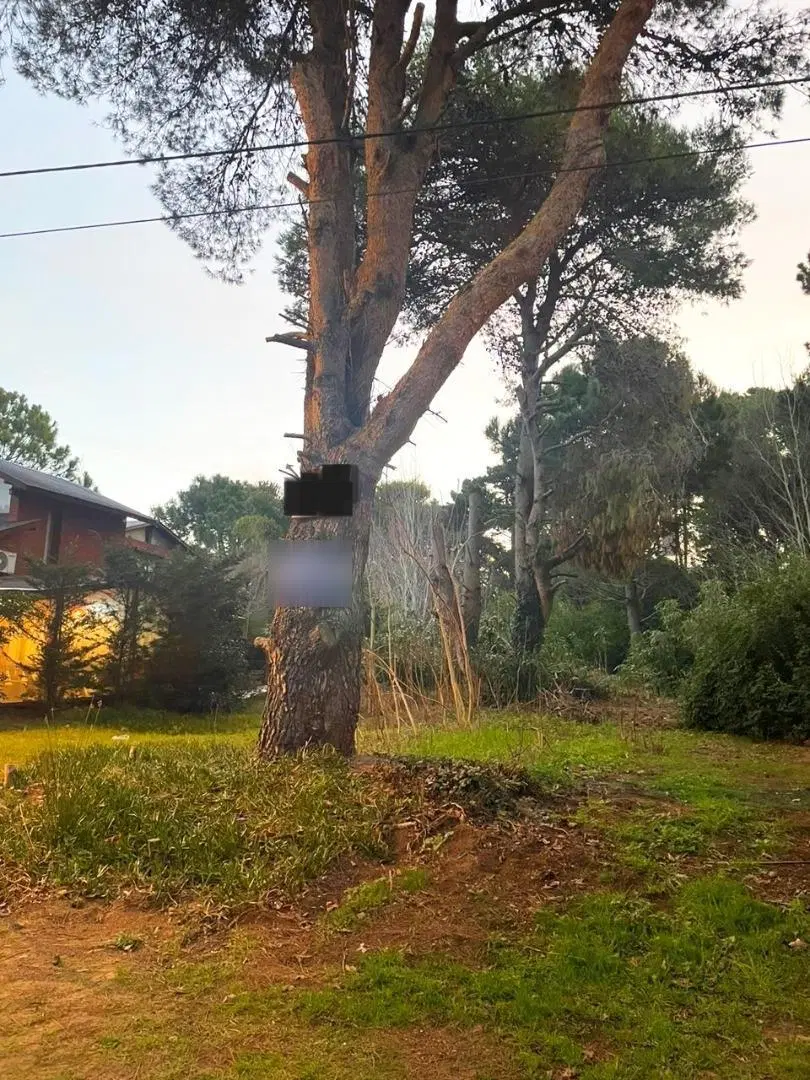 Terreno en venta - 450mts2 - Costa del Este 2
