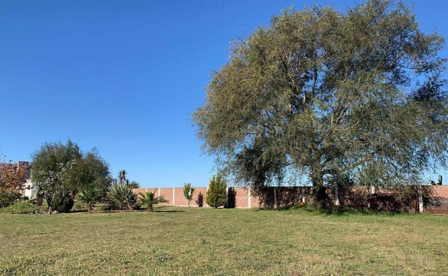 Casa en venta - 3 Dormitorios 2 Baños - Cocheras - Saladillo