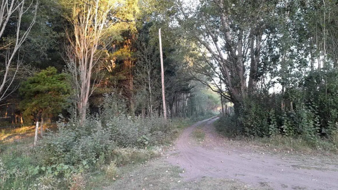 Terreno en Venta - - 336.15mts - Aguas Verdes 4