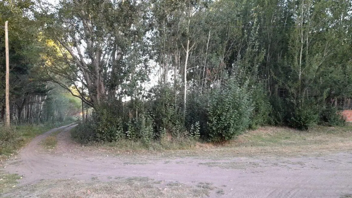 Terreno en Venta - - 336.15mts - Aguas Verdes 1