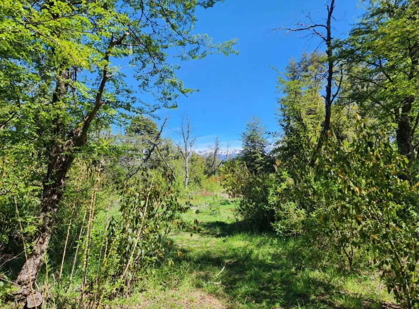 Terreno venta 2800mts 2 totales- Villa La Angostura 3