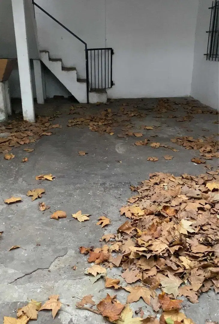 Casa en venta - 4 Dormitorios 2 Baños - Cochera - 172Mts2 - Bernal Oeste, Quilmes 4