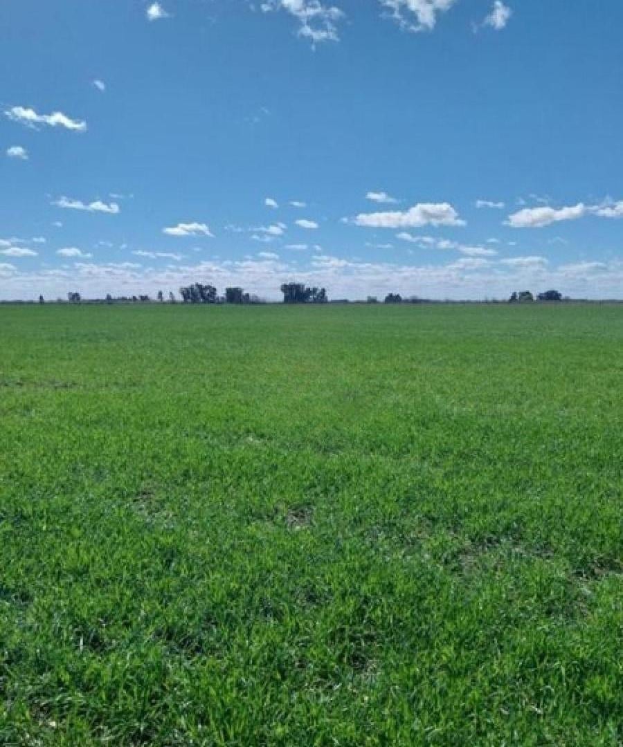 Campo en venta - 11.040.000Mts2 - San Miguel del Monte