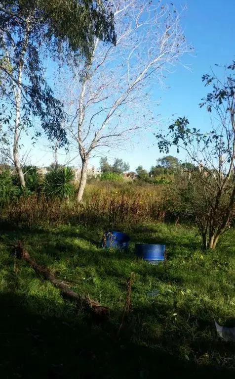 Terreno venta 50x40 mts - 2.000 mts 2 totales - Mar De Ajo 3