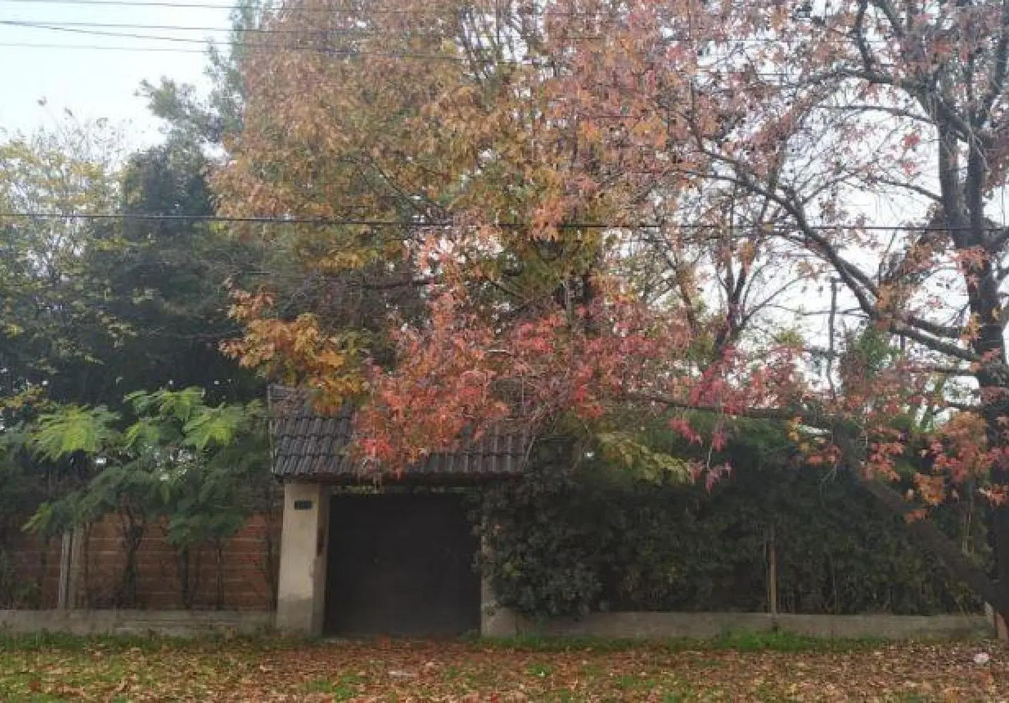 Casa en venta - 4 Dormitorios 2 Baños - Cocheras - 630Mts2 - Burzaco 1