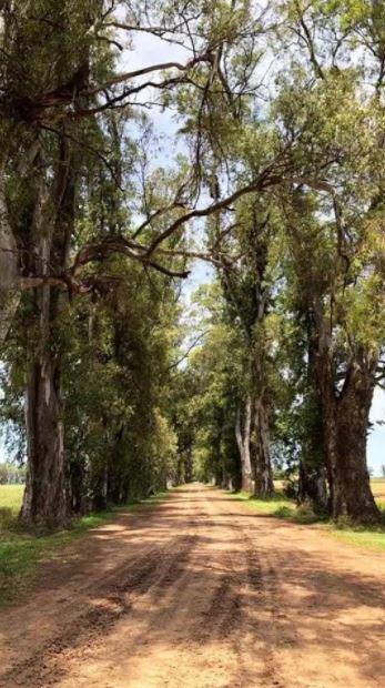 Terreno en venta - 1.000mts2 totales - Los Tres Pinos, General Rodríguez