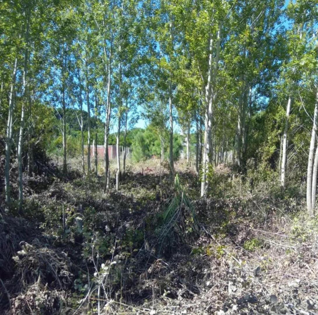 Terreno en Venta - 500mts2 - Nueva Atlantis