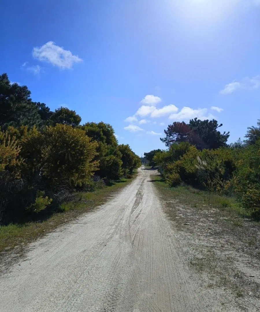 Terreno en venta - 1.200mts2 - Barrio Marítimo, Punta Médanos 8