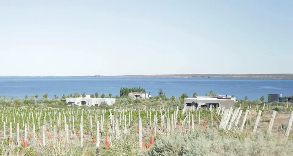 Terreno en venta - 346Mts2 - Mari Menuco, Neuquén 4