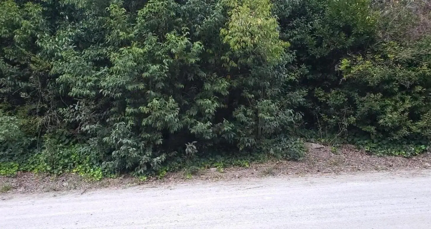 Terreno en venta - 1050Mts2 - Punta Indio 5