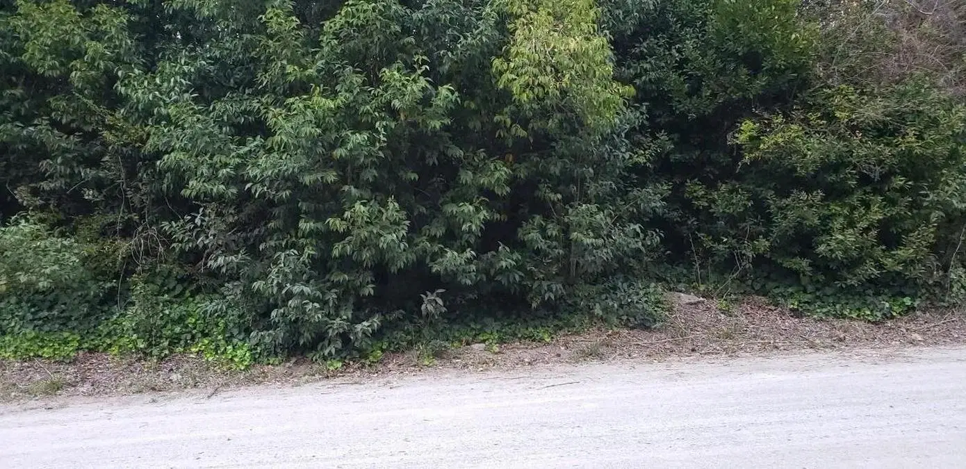 Terreno en venta - 1050Mts2 - Punta Indio 5