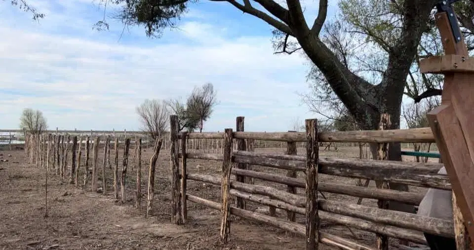 Terreno en venta - 987 Hectáreas - Victoria, Entre Ríos 1