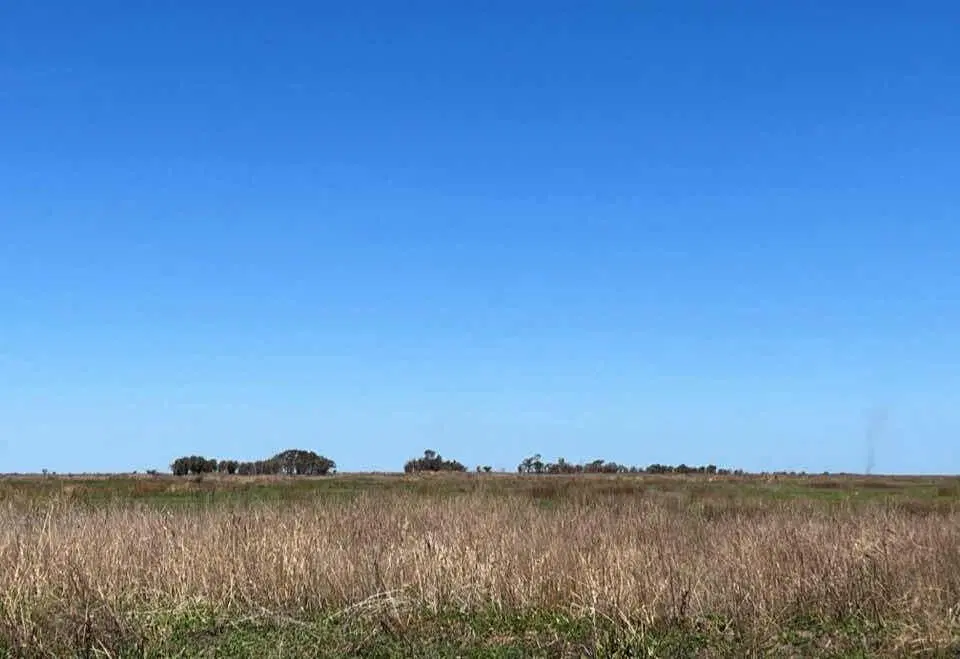 Terreno en venta - 987 Hectáreas - Victoria, Entre Ríos 5