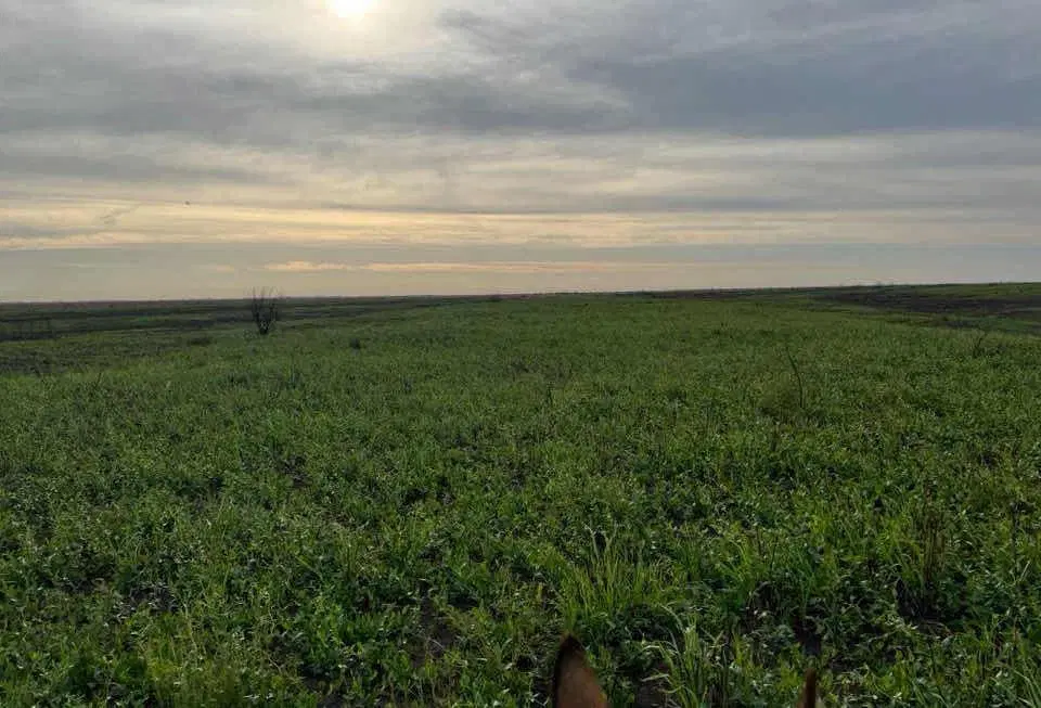 Terreno en venta - 987 Hectáreas - Victoria, Entre Ríos 3