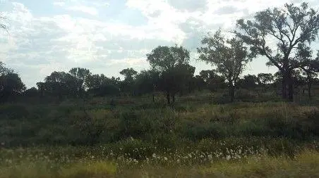 Campo en venta - 918 Hectáreas - Santiago del Estero 5