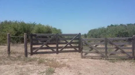 Campo en venta - 918 Hectáreas - Santiago del Estero 3