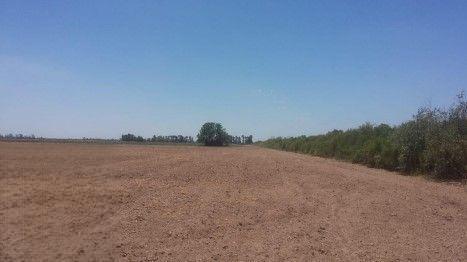 Foto de Campo en venta - 918 Hectáreas - Santiago del Estero, imagen 2