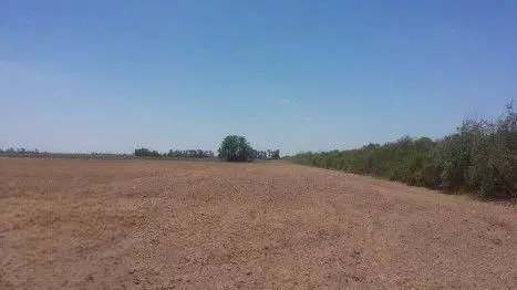 Campo en venta - 918 Hectáreas - Santiago del Estero 2