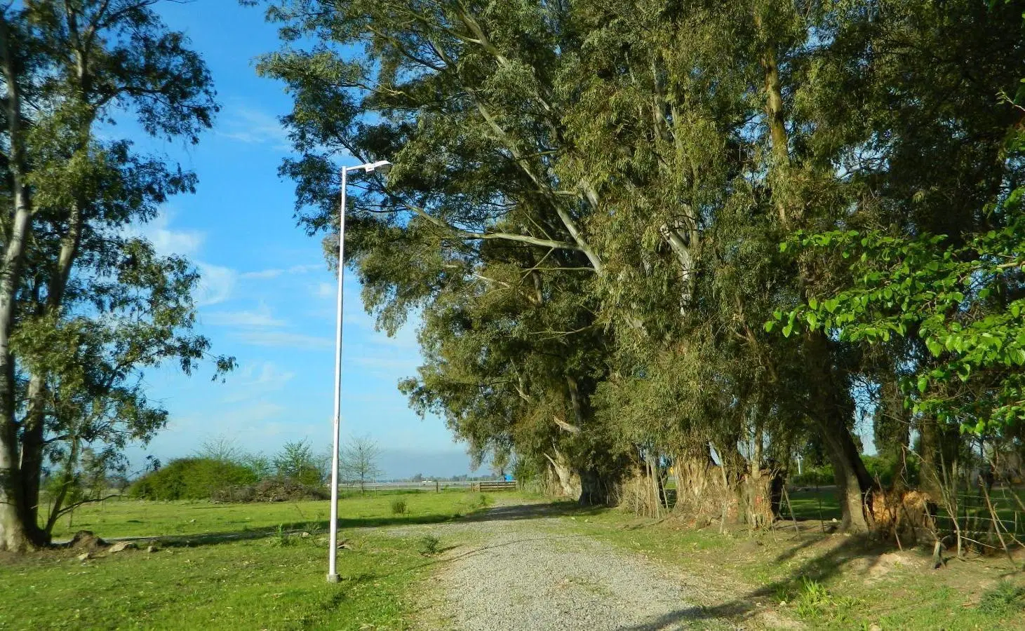 Terrenos en venta - 2.000Mts2 - Los Retoños, Luján 3